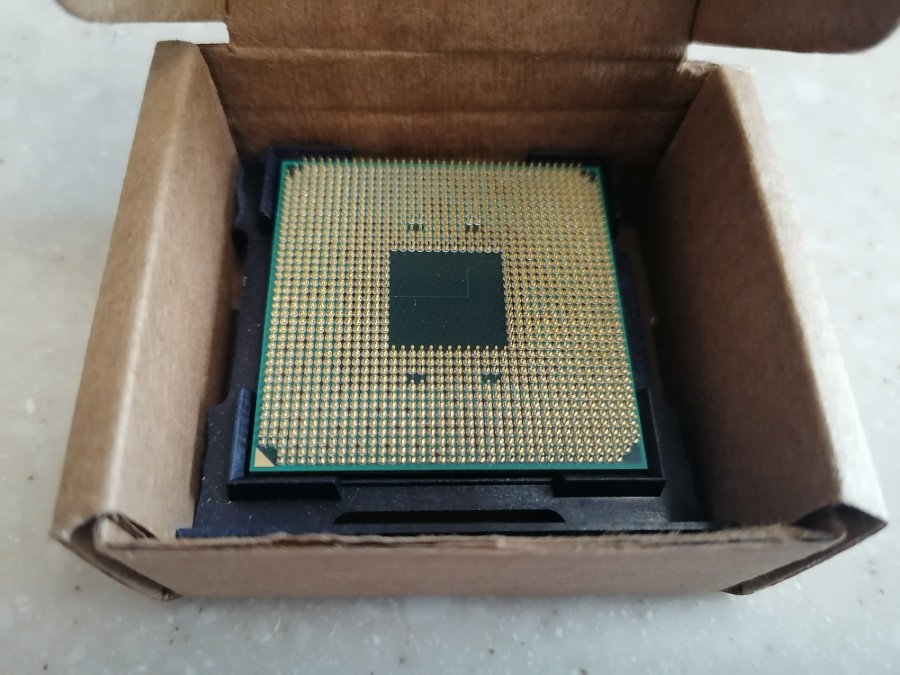 amd