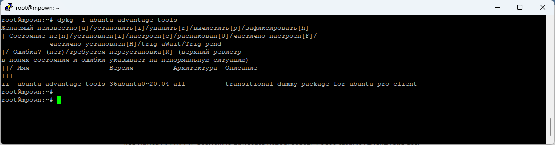 ubuntu