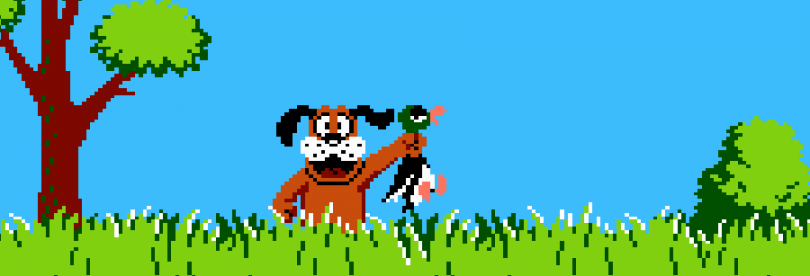 Duck Hunt